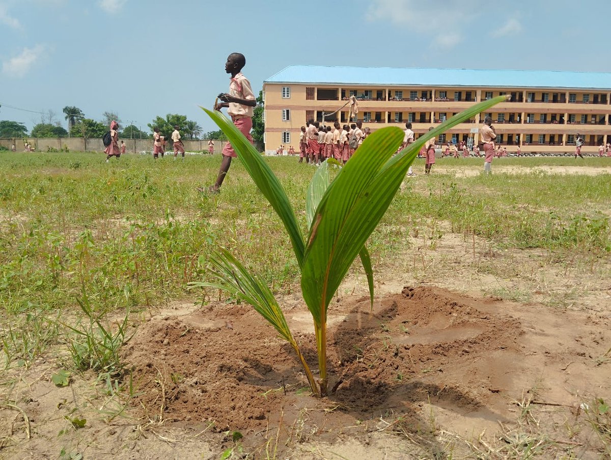 I just donated through Quadratic Funding on <a href="/SilviProtocol/">Silvi🤳🌳</a> ! Your donation gets matched - join me in supporting public goods! app.silvi.earth/bioregion-roun…