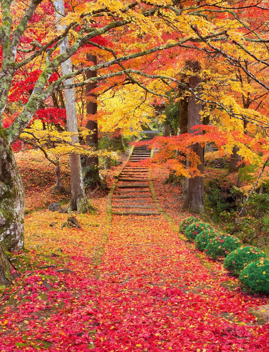 綺麗な風景と癒し (@kirei_huukei184) / Posts / X