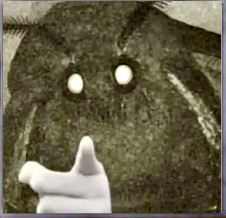 fullydunted's tweet image. At sum stage… 
Neon start flappin!
Candles get clappin!
Fuse box is slappin!
The Lamp be flashin!

That wen most of dem enter…

What bout u???

LÆMP!

0x3F0CD4371b55aa7827E2ecc4F76DB46861289675