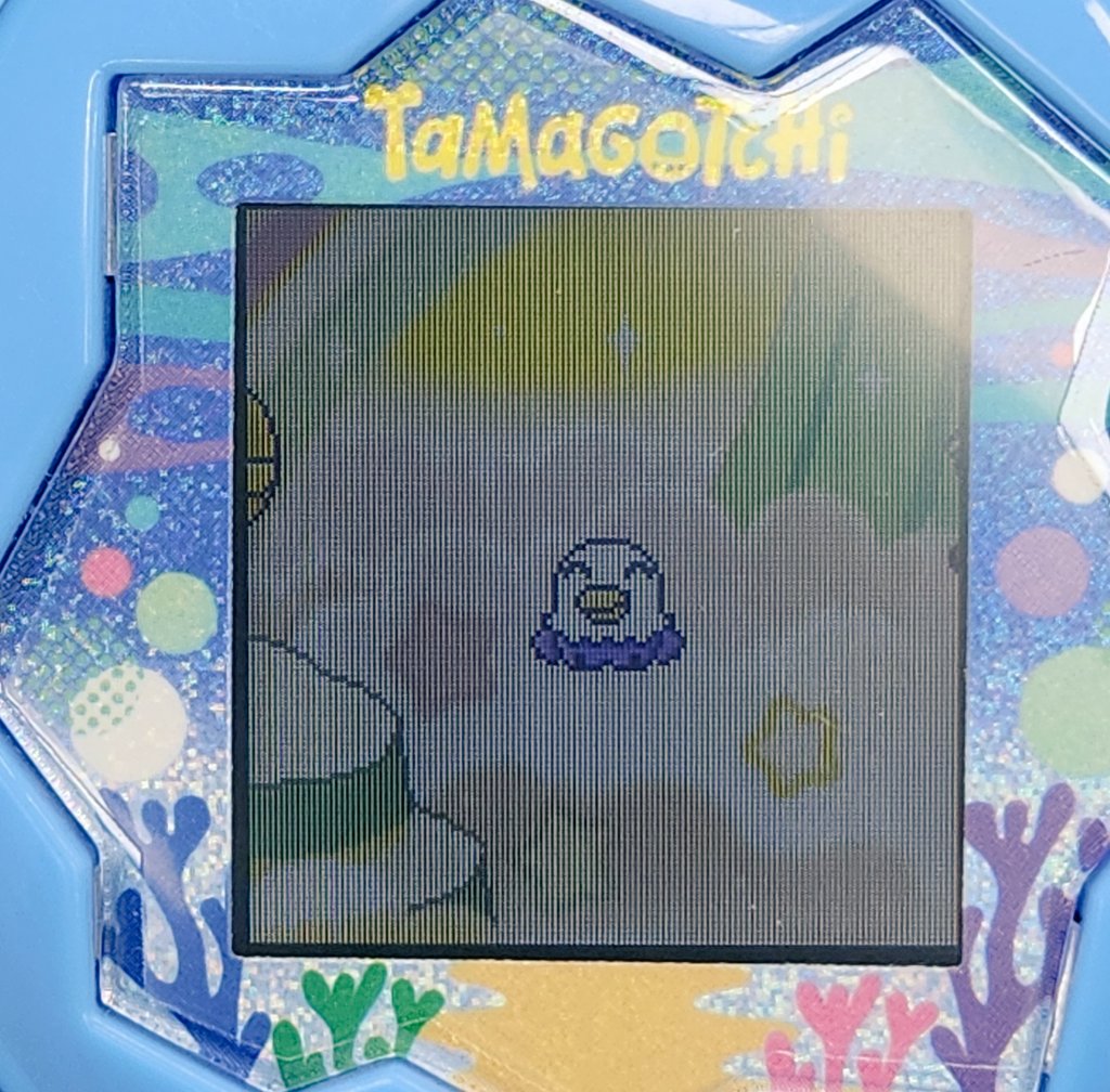 intuseless's tweet image. 원래 이런 무서~ 운 녀석인데
먀님네와의 교배 덕에 착순이됨 ㅋㅋㅋㅋㅋㅋ