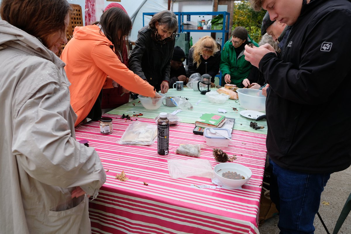 Tree Musketeers tweet media