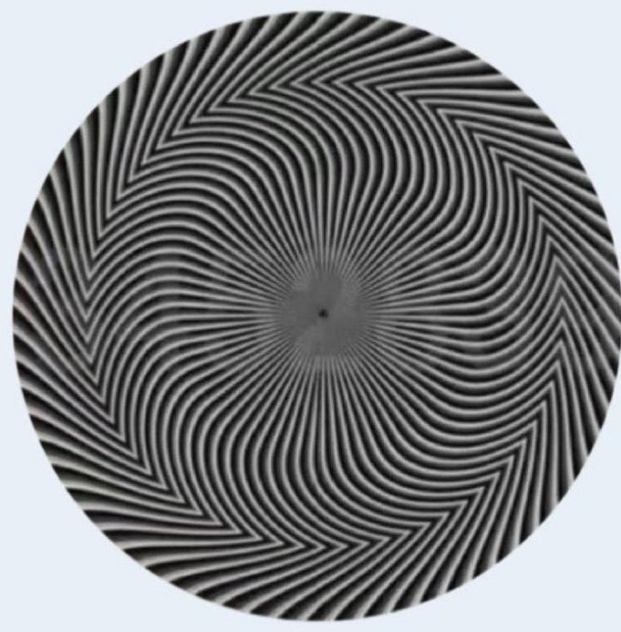 captainblack 𝕏 tweet media