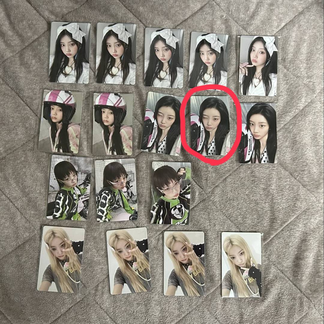 逃げ綾鷹 tweet media