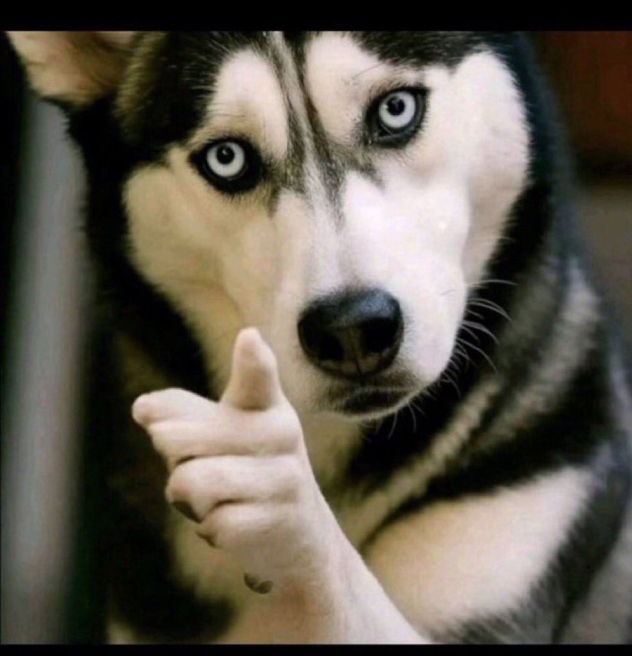 web3righteous's tweet image. Say Hi and Gain 500 new mutuals Here. .