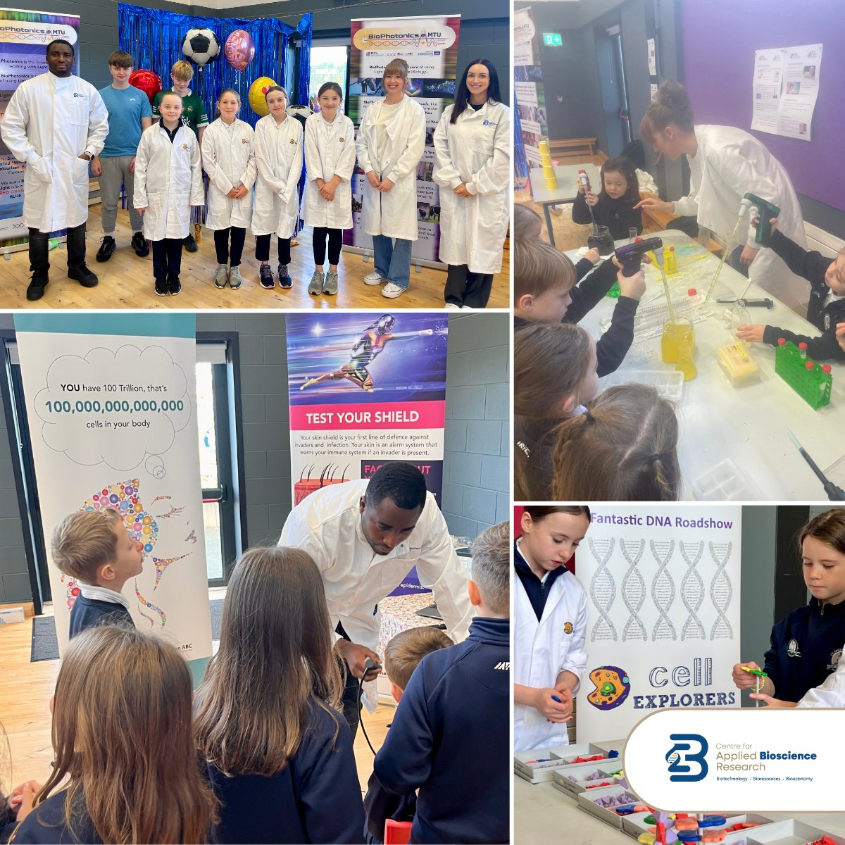cabr_centre's tweet image. As part of Kerry Science Week 2025, CABR researchers had the pleasure of visiting Blennerville National School last Monday to showcase life sciences from an interactive perspective.

Thank you to Kerry Science Festival 2025 for making this visit possible!

🇮🇪 🇪🇺 #EUinmyRegion