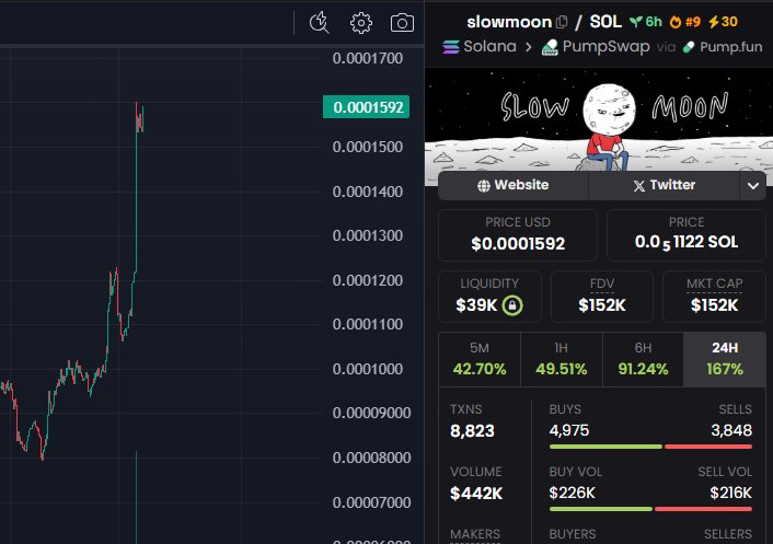 It's a $slowmoon bro

grab a bag and wait.