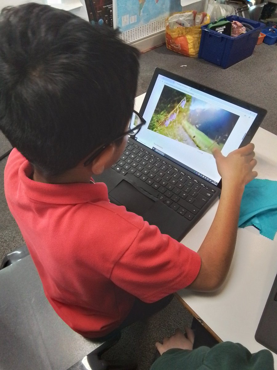 ClassPerkins's tweet image. We are enjoying exploring Innsbruck and Tirol in the Alps! We&apos;ve found lots of activities to do and things to see there! #aspire