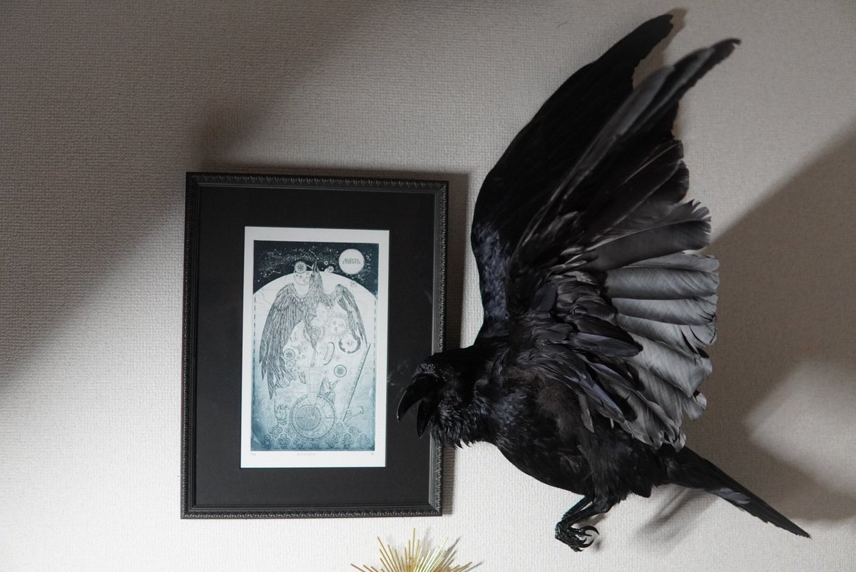 CAVALISA/アートドール作家 (@to_aves) / Posts / X