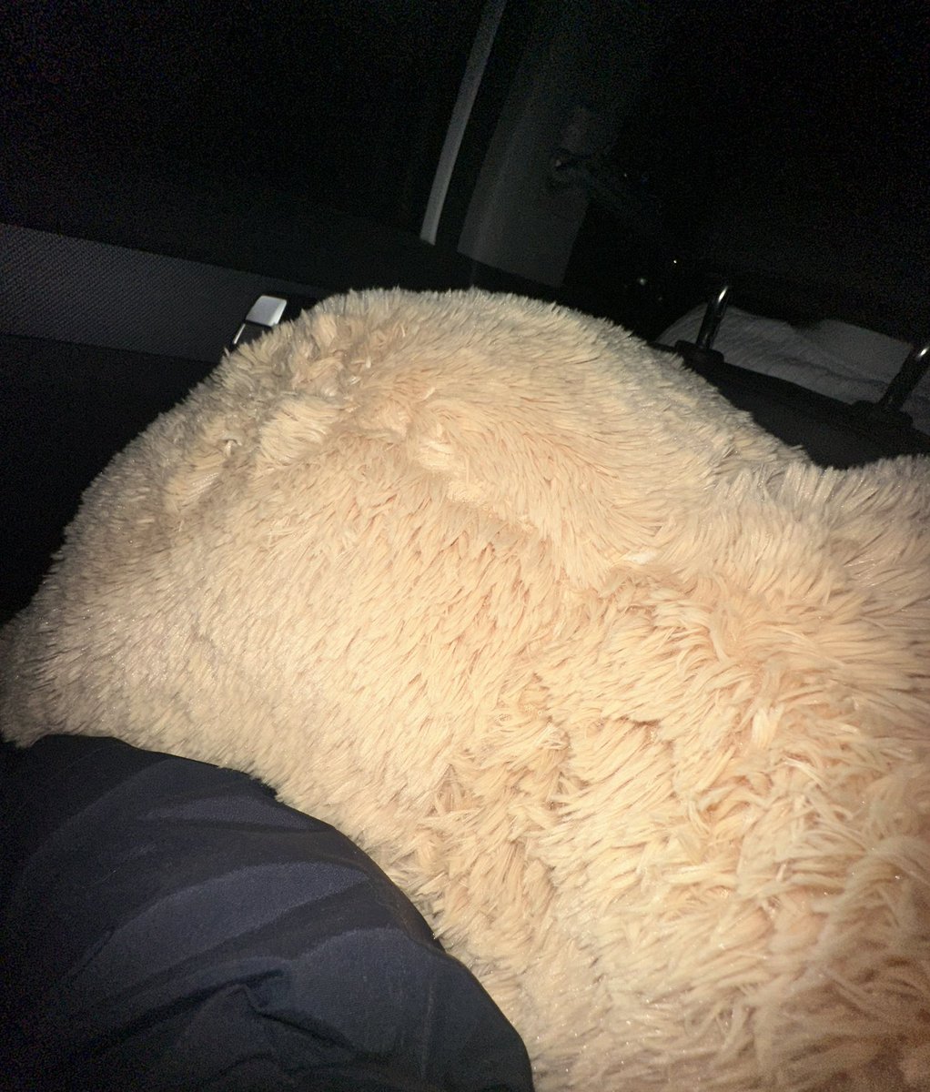 곰돌이와 같이 집 가는 중….ㅠㅠ
역시 이 대형 곰돌이를 때려갈 사람은 없었다….