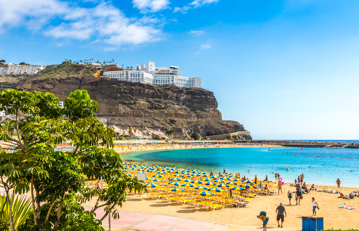 Iberia Express tweet media