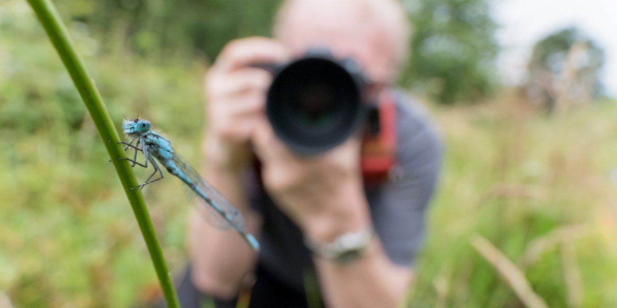 ScotRewilding's tweet image. 𝗛𝗼𝘄 𝘄𝗼𝘂𝗹𝗱 𝘆𝗼𝘂 𝗲𝘅𝗽𝗿𝗲𝘀𝘀 𝗿𝗲𝘄𝗶𝗹𝗱𝗶𝗻𝗴 𝘁𝗵𝗿𝗼𝘂𝗴𝗵 𝗮𝗿𝘁?

We’re celebrating the launch of an inspiring arts initiative from @REWRITE_EU and @WILDCARD_EU, inviting creatives and citizens across Europe to explore what rewilding means to them.

Rewilding is…