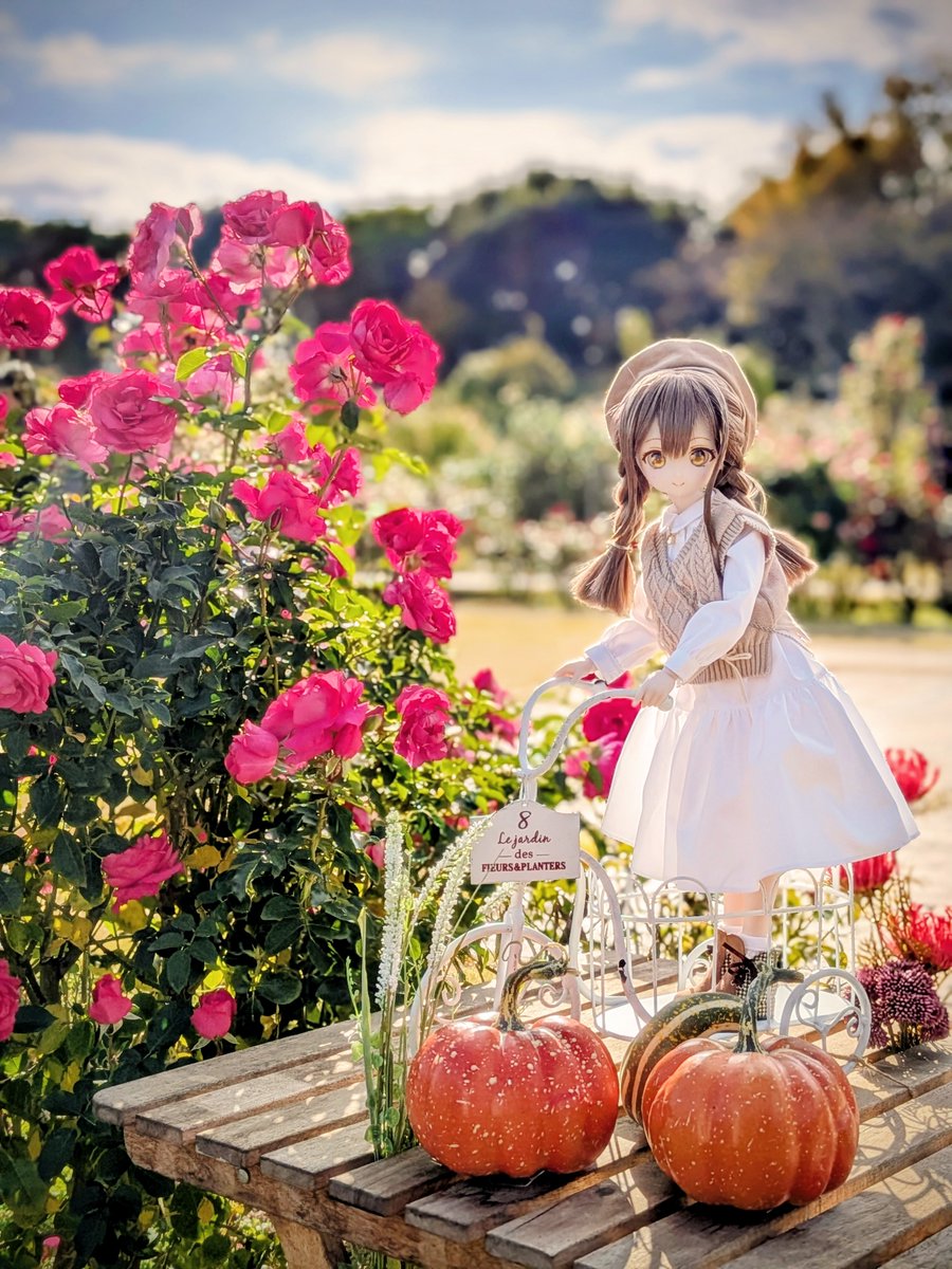 りんごちゃん様38サイズ即日発送 一番人気♪大玉】 産地直送りんご サンふじ 5キロ（1段箱）13・14玉