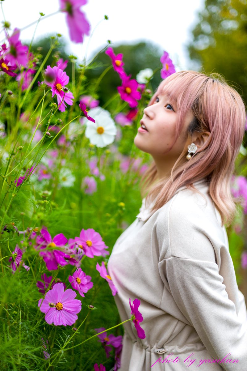 エリカさん 「秋桜」 #コスモス #秋桜 #ポートレート #portrait
