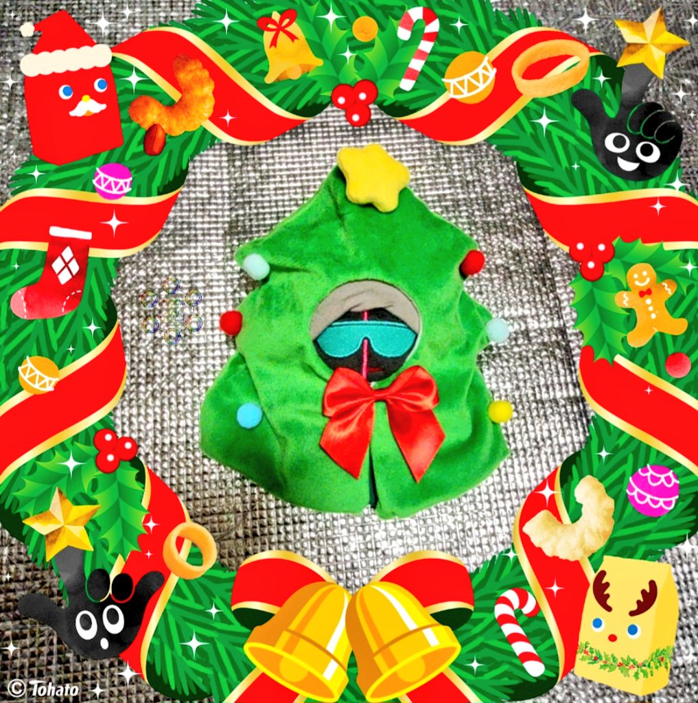 micra_ms_sp's tweet image. クリスマスツリーの服売ってたから買ったけど可愛い🤗✨️昔クロエちゃん動画で着てはったよね🎄
フレームで撮影したけどさらに可愛い🎅
#MSSPフォト