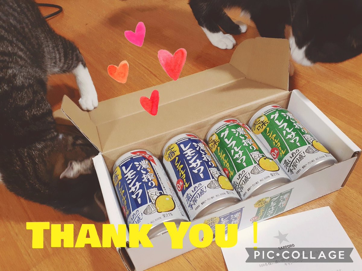 かおりん様確認ページ かおりん (@8A7bghkaQD18dTY) / Posts / X