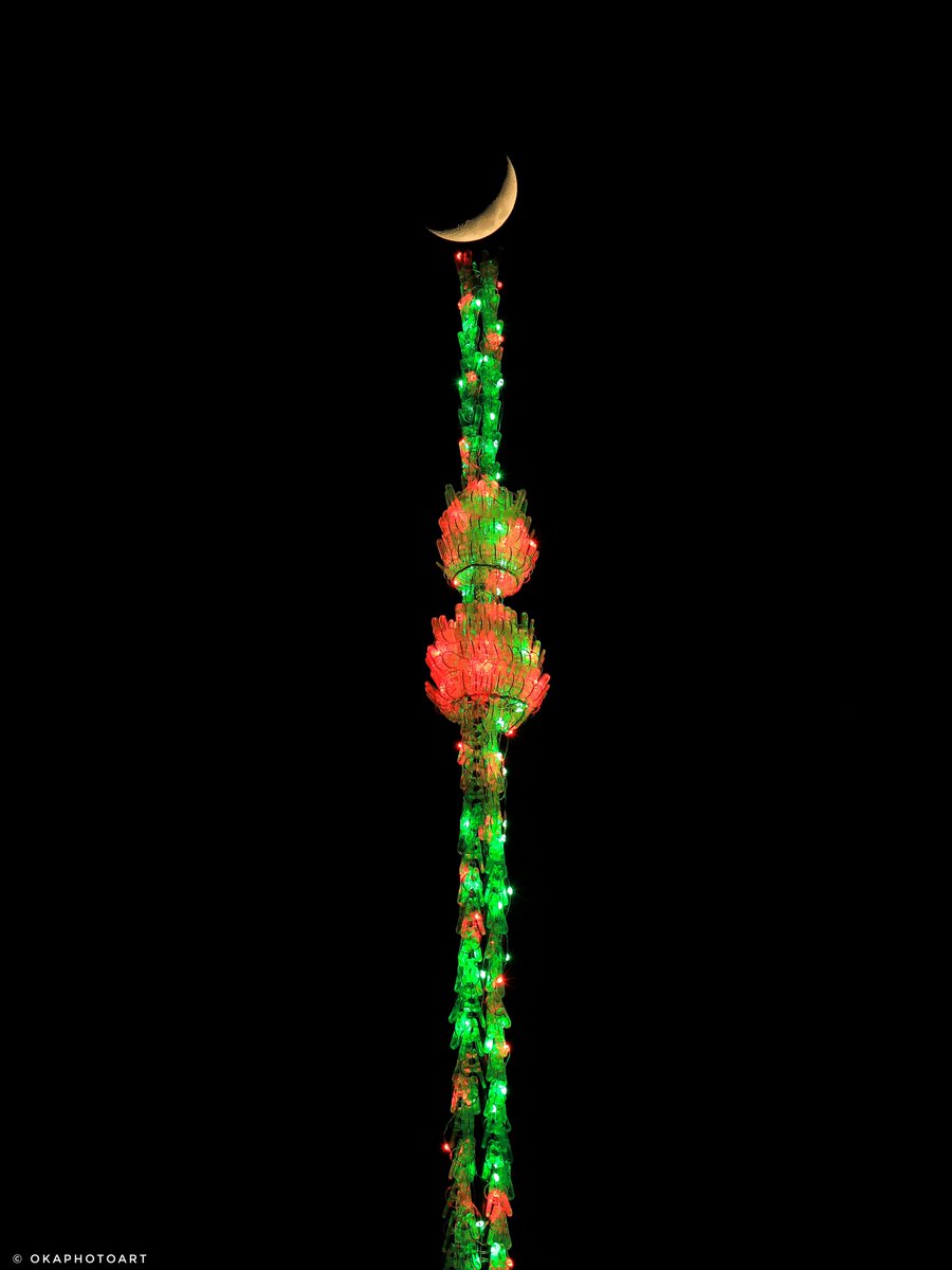 クリスマスツリーみたいな
スカイツリーを作ったよー🎄