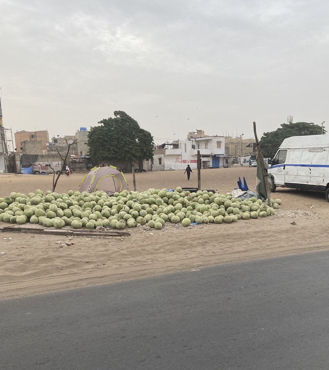 Les vendeurs de PASTÈQUES 🍉 

Ils préfèrent mettre tout le stock à la poubelle 

Que de vendre les XALLEU à 300, 500

Je ne comprendrais jamais 👨🏽‍🦯👨🏽‍🦯