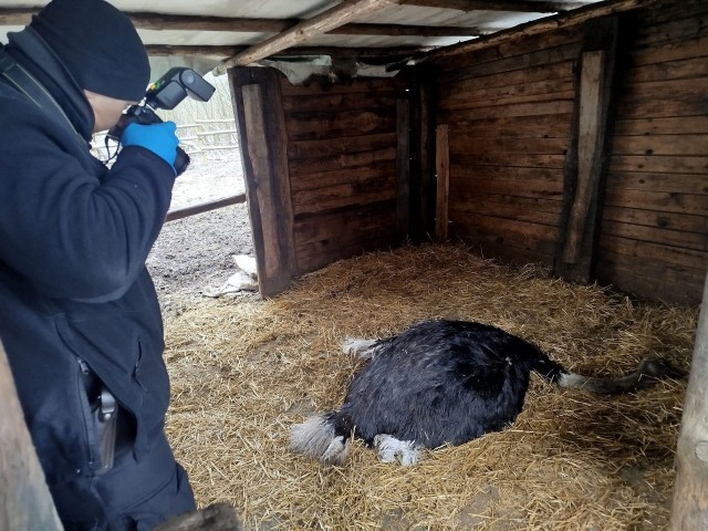 Robert Maślak tweet media