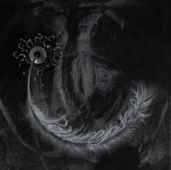 HIB HOB XD tweet media