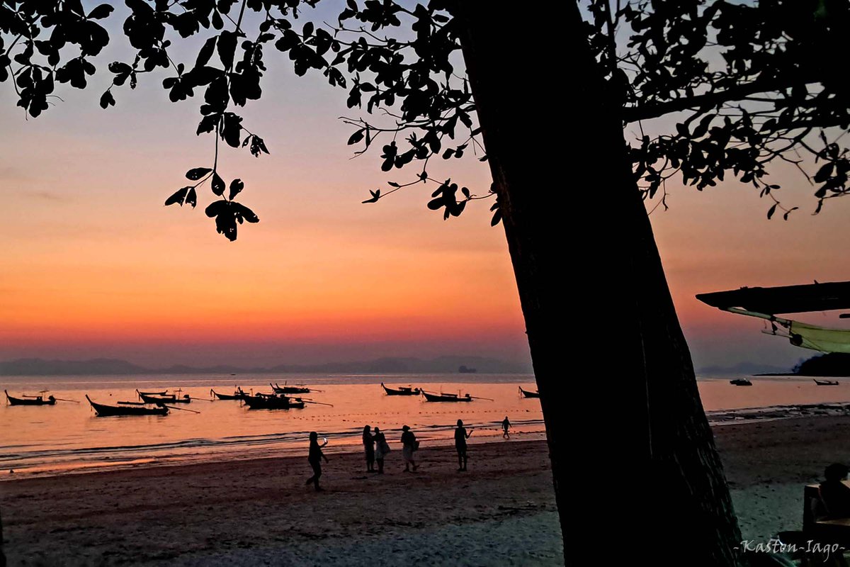 KastonIago's tweet image. A sunset scene at Krabi Beach in Thailand for #ThickTrunkThursday.

#tree #photooftheday