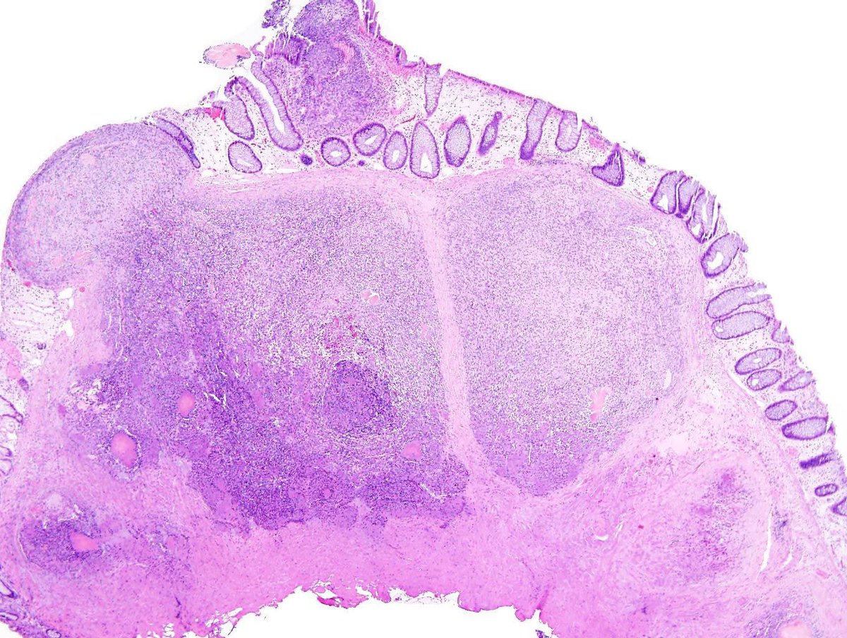 Kalyani Bambal tweet media