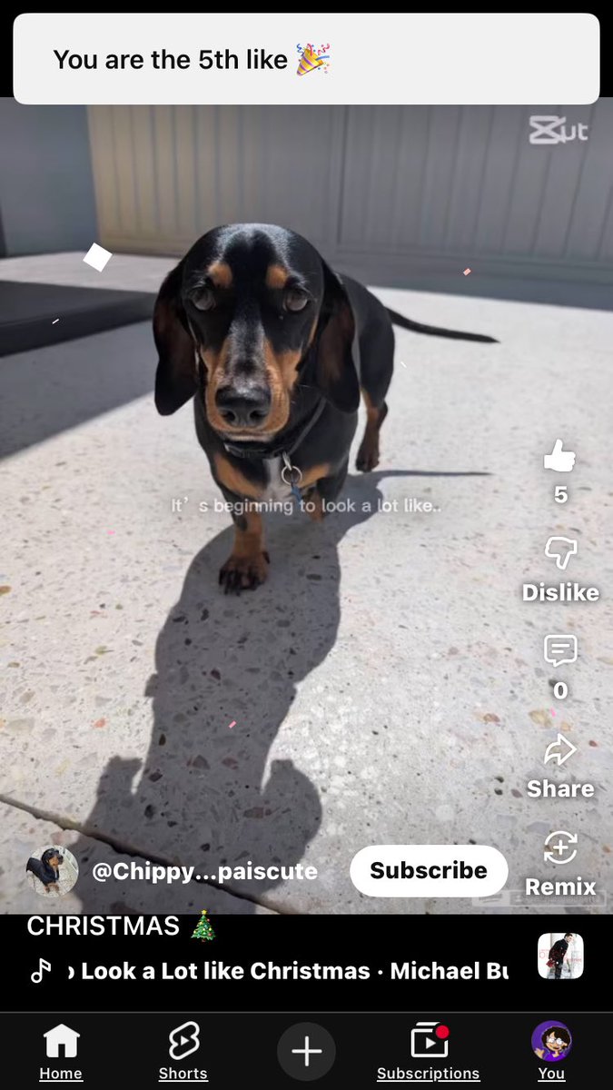 chocsise's tweet image. ok, good to know