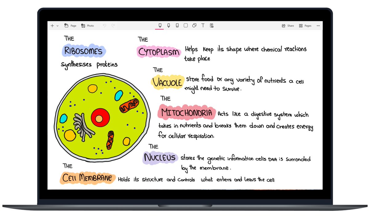 ArchiveOS's tweet image. Noteshelf – a note-taking app for students, teachers, professionals, artists, and bullet journal enthusiasts, allowing you to create and organize digital notes. #notes #windows #android #ios