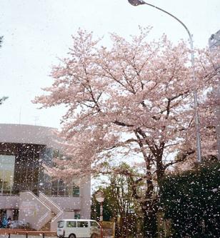 _djsimps's tweet image. のんびり過ごそしてから無理せずいこ ☀️