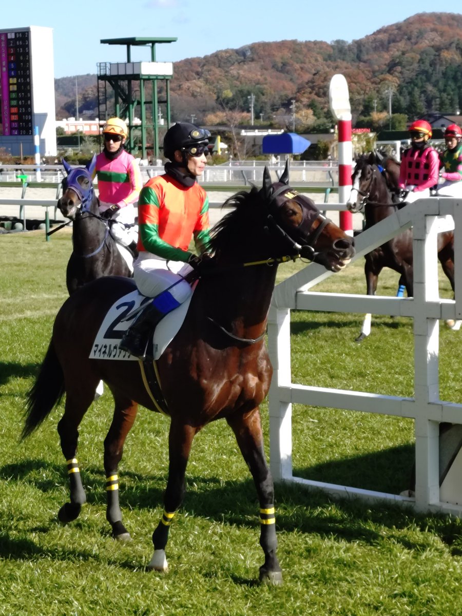 sattokich's tweet image. マイネルヴァッサーの引退が発表されました。
ステイゴールド産駒はこれで
JRAから姿を消すことになります。
12歳までよく頑張りました。
最後の花道、見届けることが出来て良かった。
お疲れ様でした。長い間ありがとう。
良き余生を。