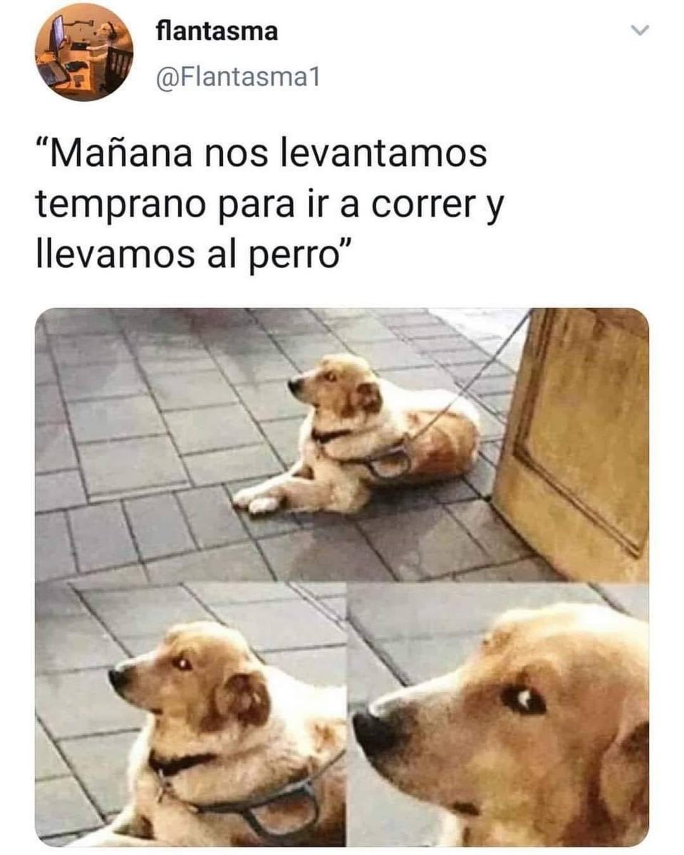 A Firulais no le hace mucha gracia. 😐😐🤪
#FelizMartes
#FelizMartesParaTodos
#FelizMartesATodos