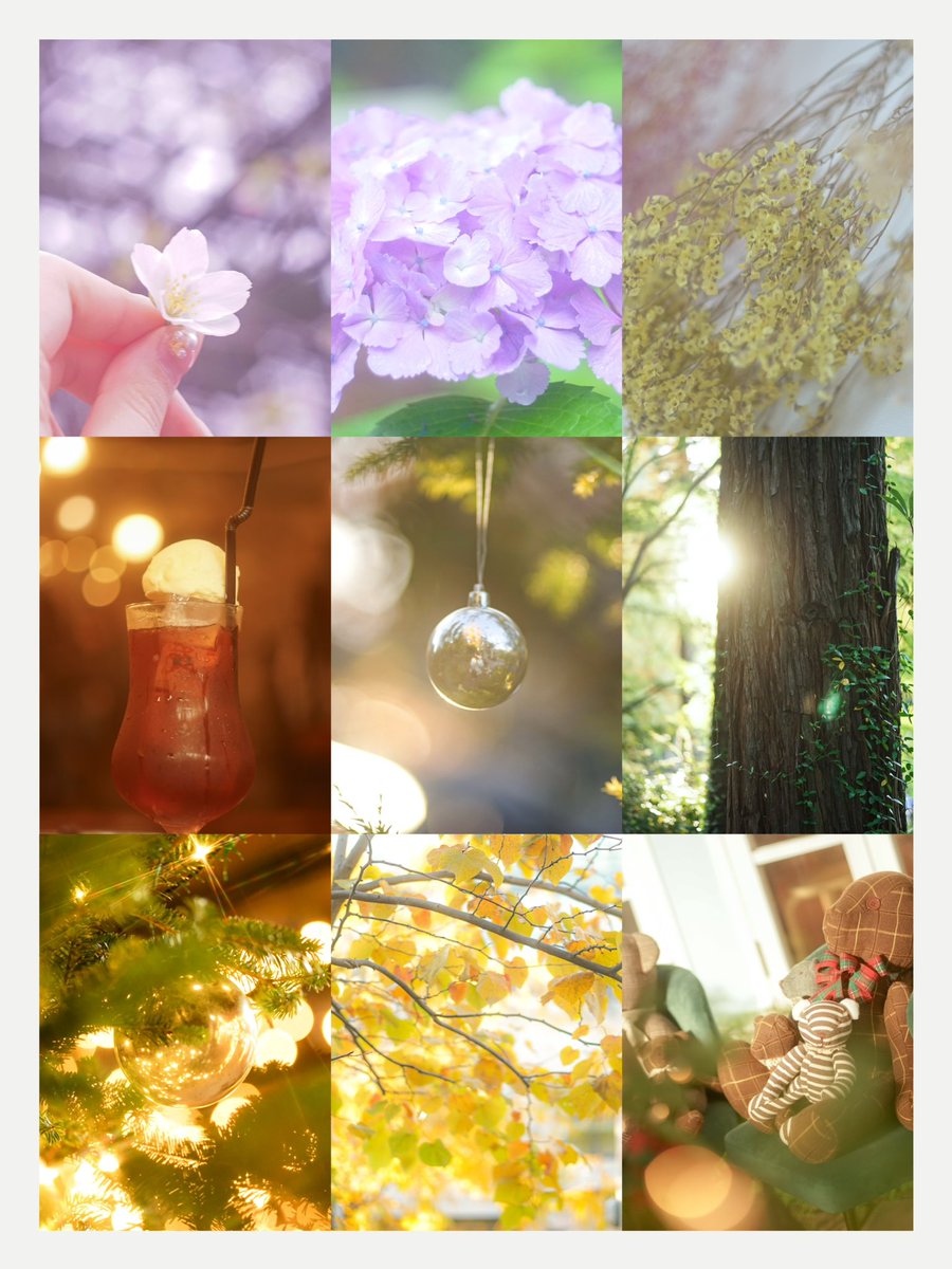 _meron_ko's tweet image. 東海メインで、
のんびりカメラを触っています📸✨

自然とかわいいものと、
コスプレが大好きです🤍💭

色んな人と繋がりたいです♪
反応からお迎え向かいますᯤ🛼
#写真好きな人と繋がりたい
#コスプレイヤーさんと繋がりたい 
#相互さんの相互さんと繋がりたい