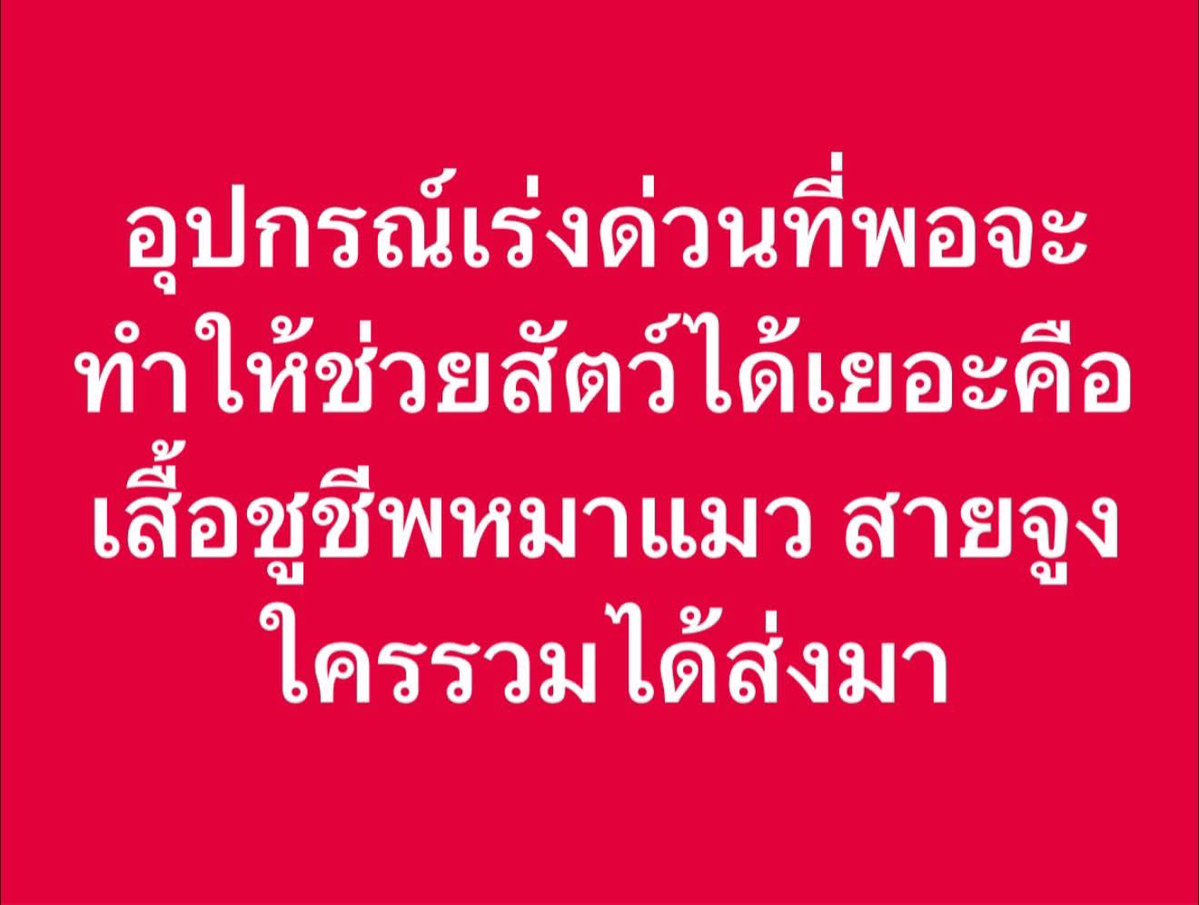 wilxiiix's tweet image. 🚨ต้องการสายจูงกับกรงพับได้🚨

SOS Animal Thailand Foundation 
มูลนิธิ เอสโอเอส เอนิมอล ไทยแลนด์ 
เลขที่ 10 ซอยนาคนิวาส 48 แยก 5 แขวงลาดพร้าว  เขตลาดพร้าว  กรุงเทพมหานคร 10230
โทรศัพท์ 0823 905070, 088-978-9953 

 #น้ำท่วมหาดใหญ่ #น้ำท่วม #น้ำท่วมสตูล