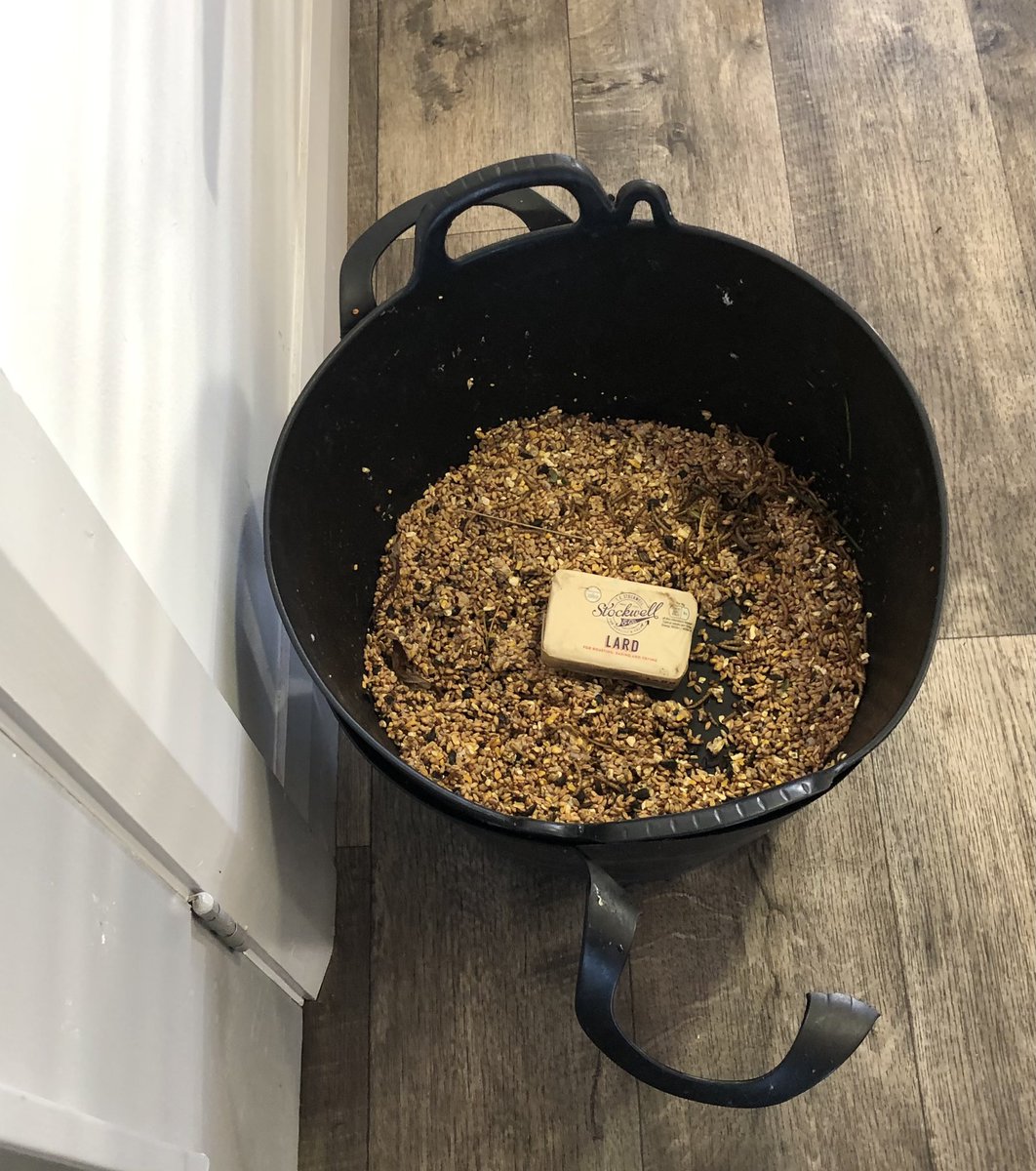 ARCHLCLTD1's tweet photo. With kind support from #liveherelovehere  we are making birds feeders today … so we really have something to tweet about! #winter #gardening #TuesdayTweet https://t.co/SlERDfO4uW