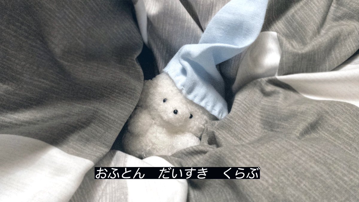 josemaru_model's tweet image. 