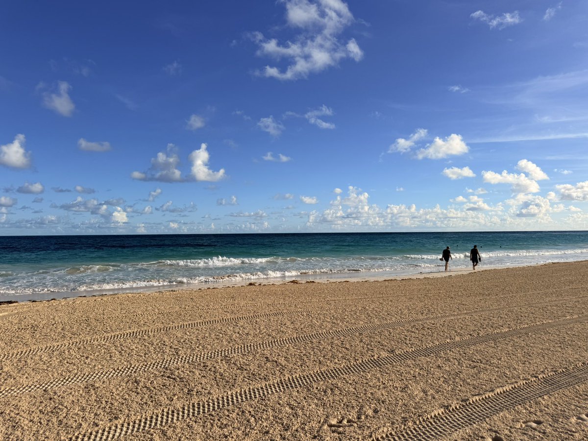 ManVMountain's tweet image. Stunning morning for a walk 🥰