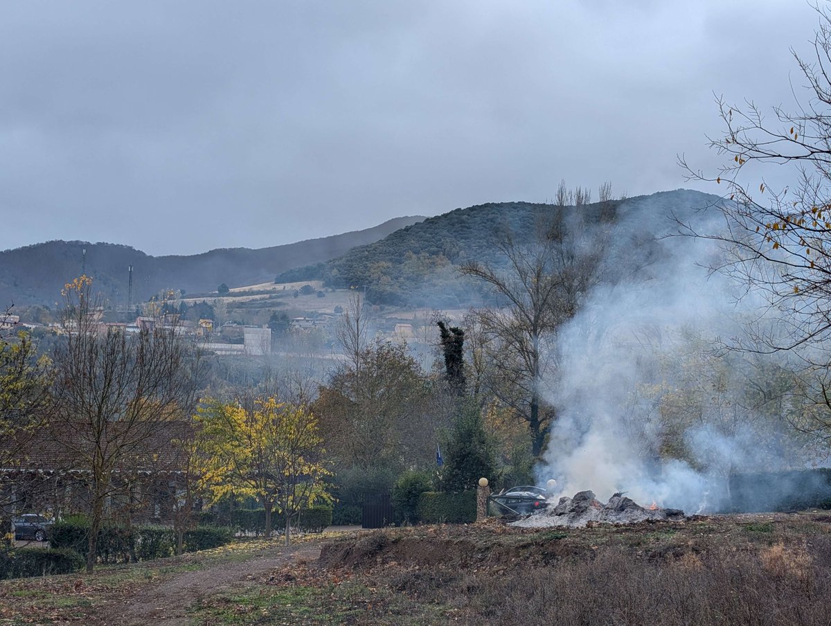 Solid Neon - Wishlist PECADO tweet media