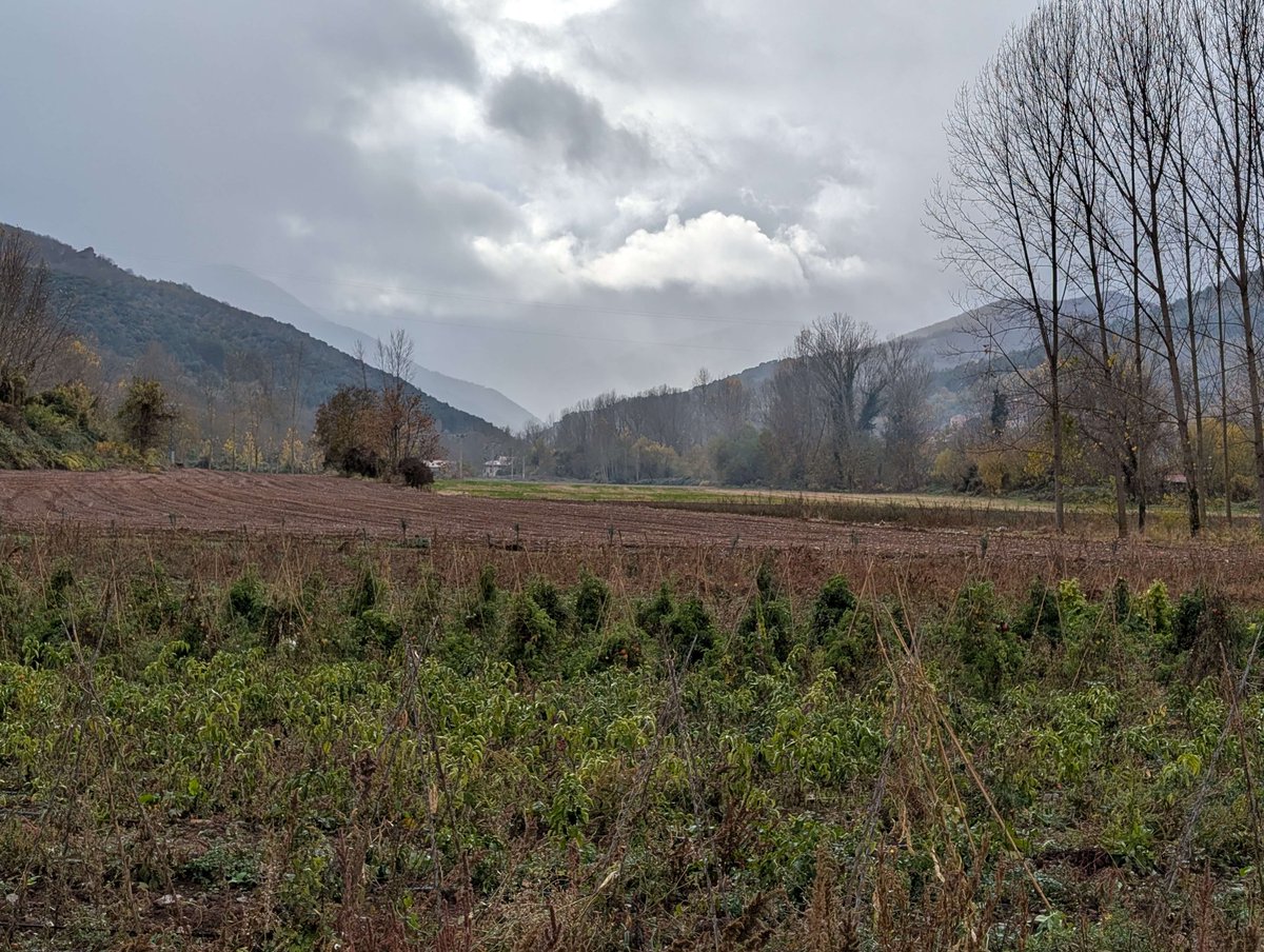 Solid Neon - Wishlist PECADO tweet media