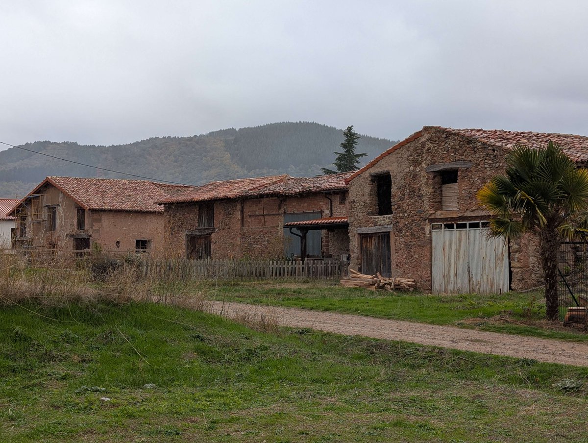 Solid Neon - Wishlist PECADO tweet media