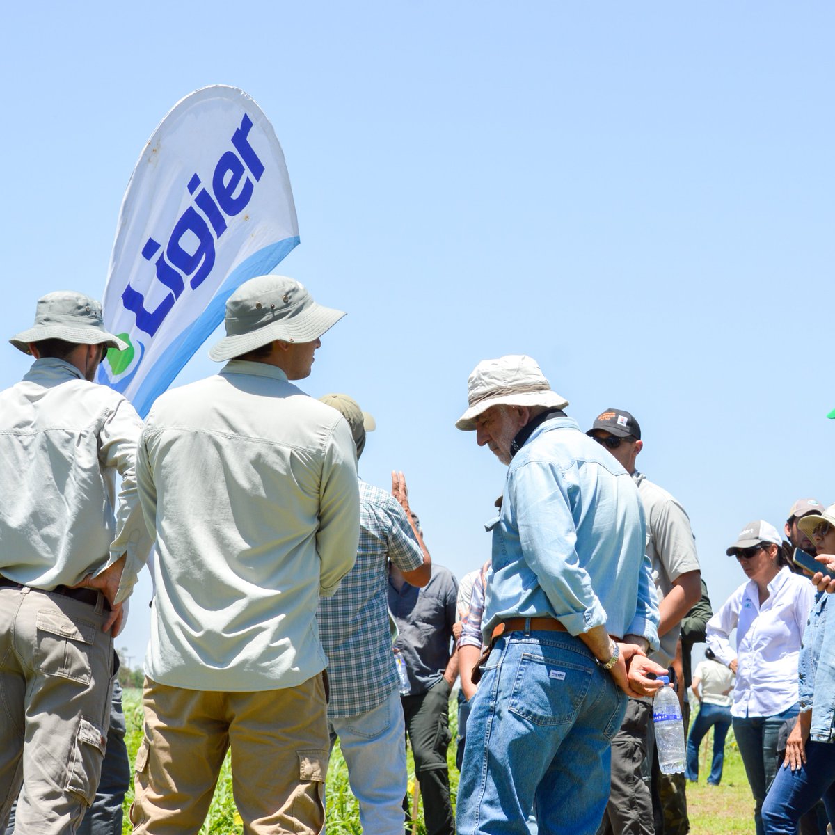 Ligier Agro tweet media