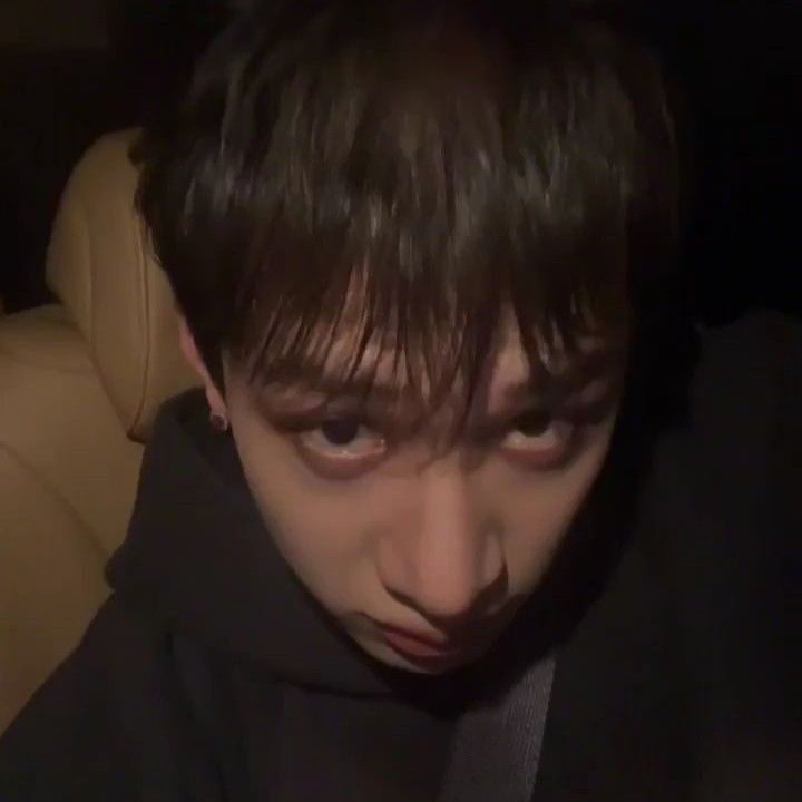 bangchan as wolves 🐺 tweet media