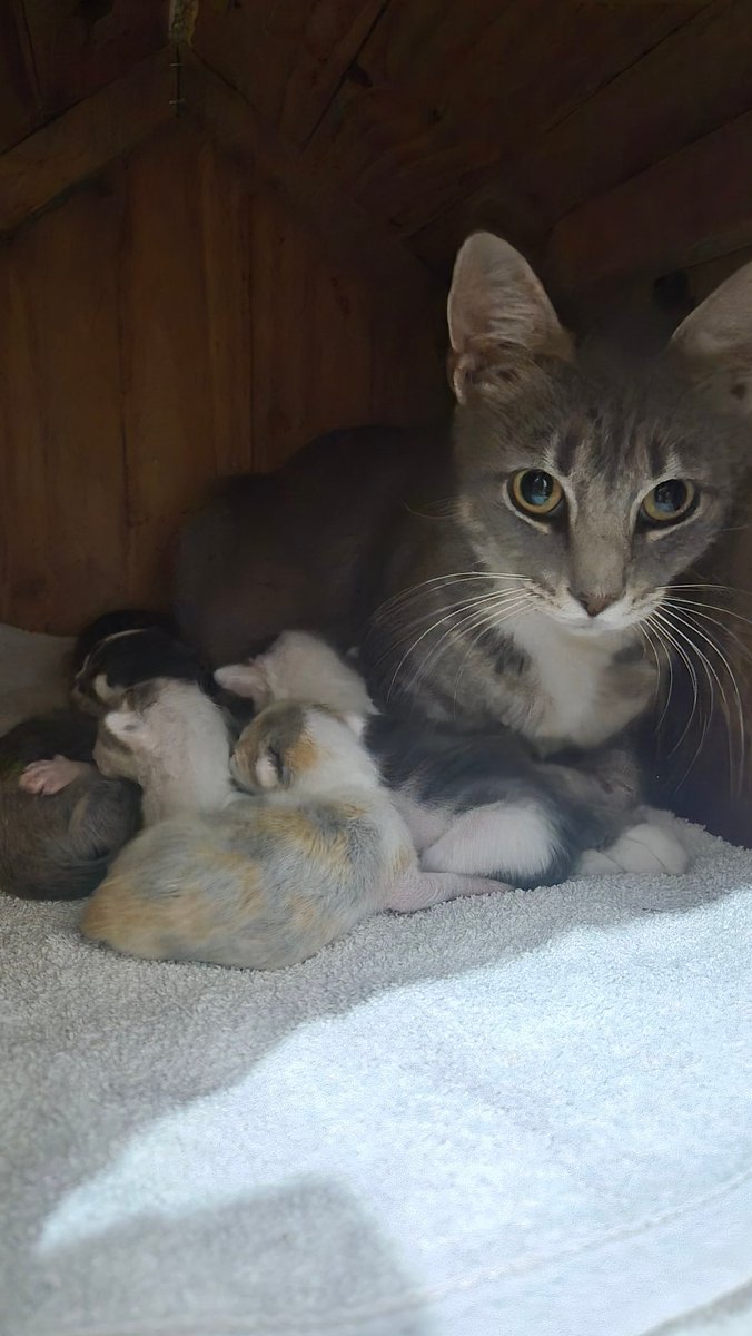 Buen día,  mundo 🥰