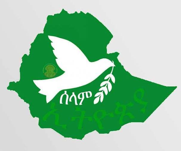 DoMoreEthio's tweet image. We Ethiopians must choose peace-day &amp;amp; night, without bias. If we rise above hate and division, we can finally break this vicious cycle of war.Our ppl deserve calm,our children deserve hope.
Let’s heal Eth together.Let’s break free from tribalism
#Ethiopia #PeaceFirst #UnityForAll
