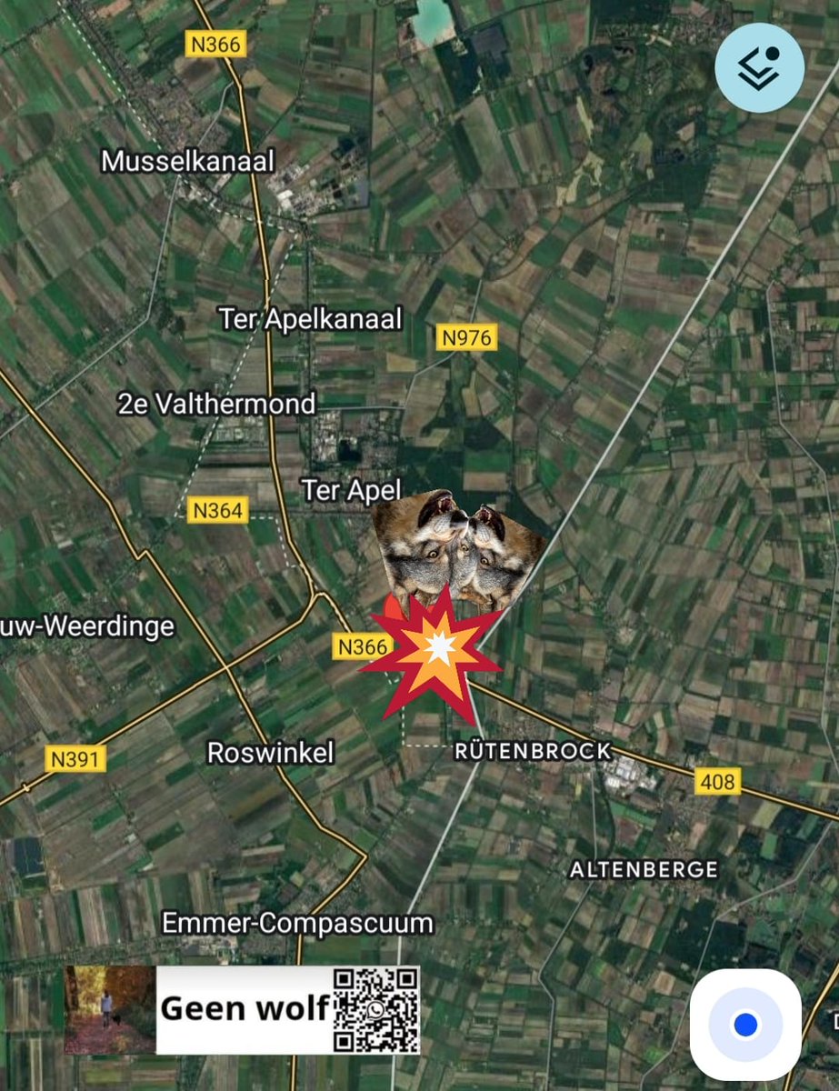 Aanrijding met 2 wolven op de N366 Wildervanckweg