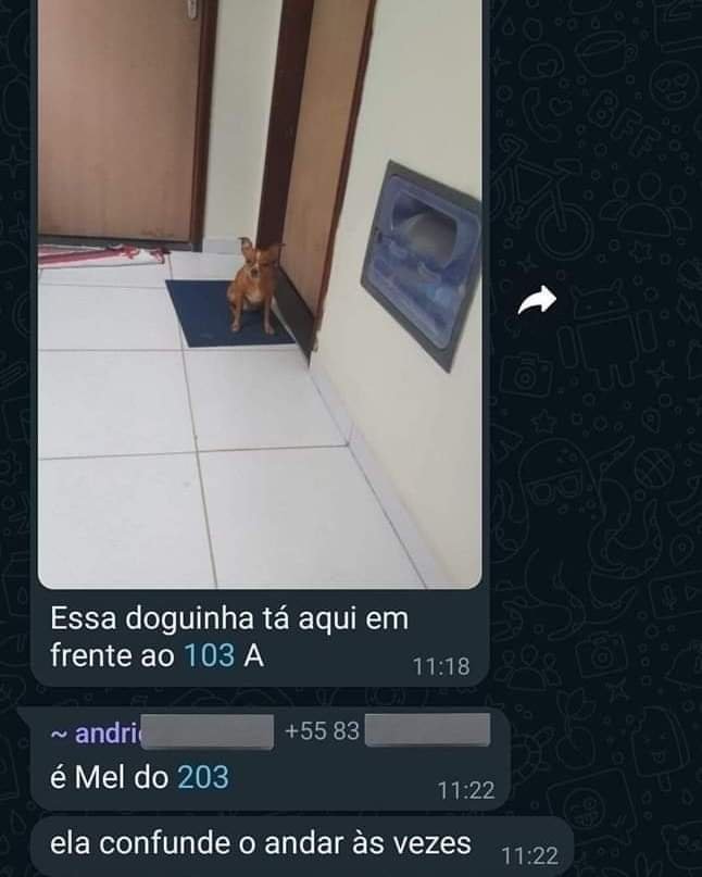 5gramasdememes's tweet photo. 🌟 https://t.co/QILQxzPEwc