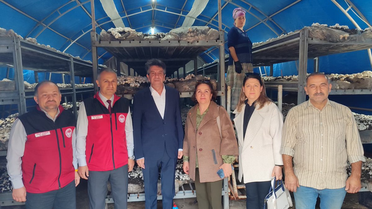 Kaymakamımız Avni Kula, Ordu İl Tarım ve Orman Müdürü Bayram Ay ve İlçe Tarım ve Orman Müdürü Vedat Aydoğan ile birlikte, İlçemiz Tepecik Mahallesi'nde Mantar yetiştiriciliği yapan Kadir Açgül'e ait mantarhaneyi ziyaret etti. fatsa.gov.tr/kaymakamimiz-a…