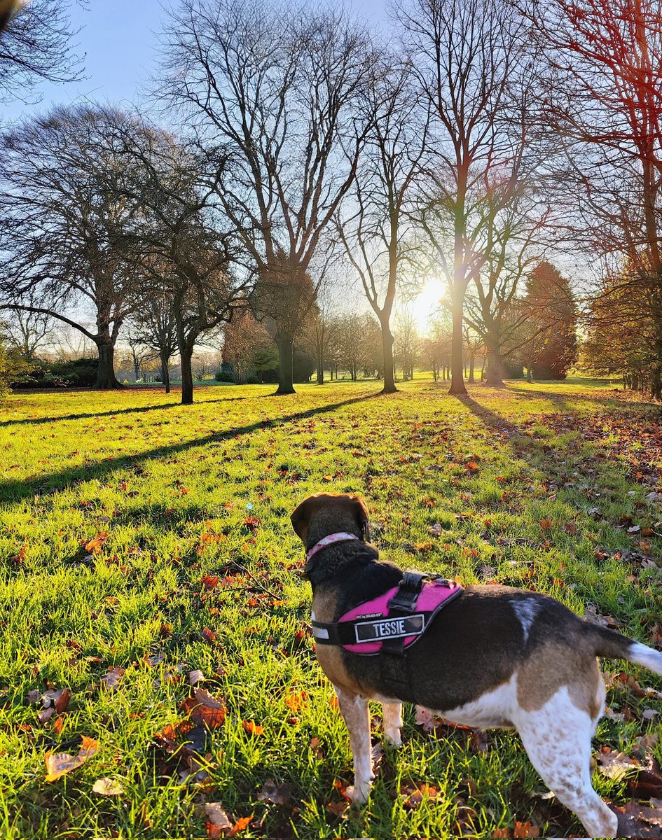 Warwick Lea tweet media