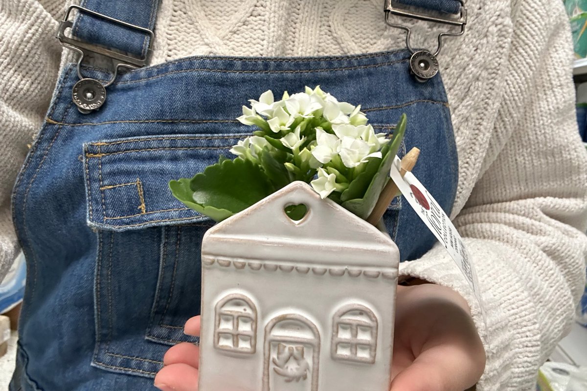 bought a little friend