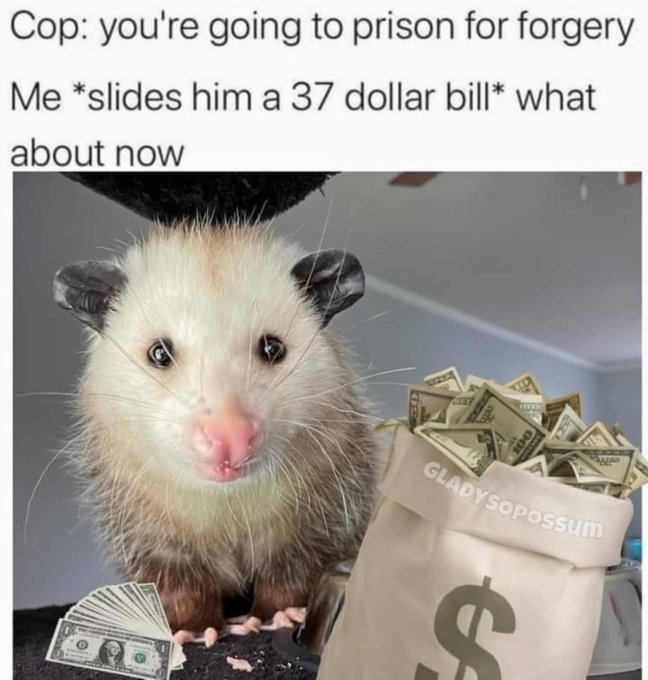 AgoristN's tweet image. 