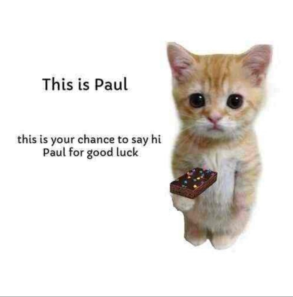 Catsillyness's tweet image. Hi Paul