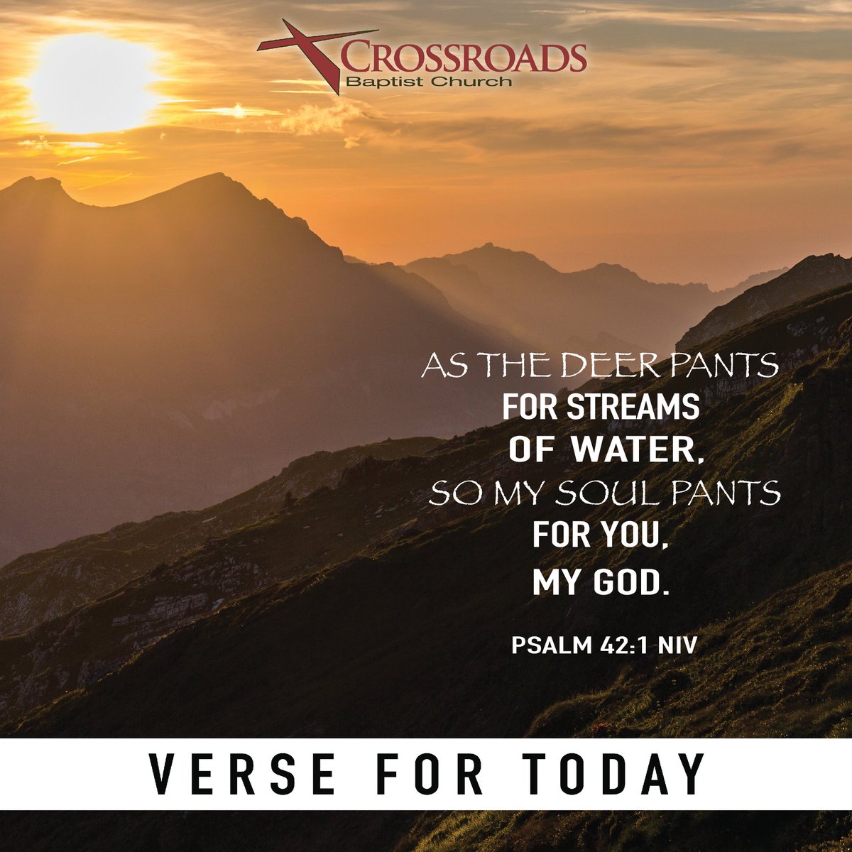 crossroadsbc's tweet image. 